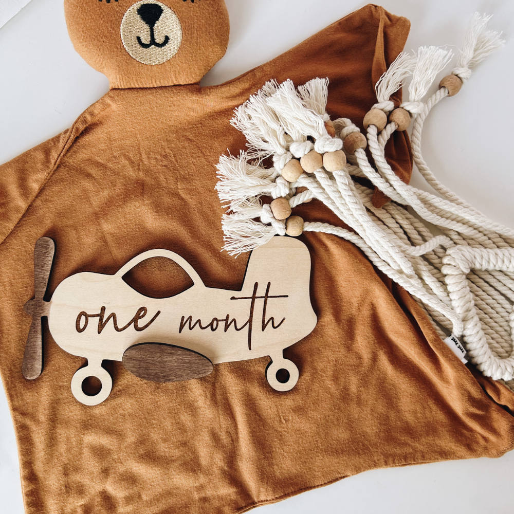 Airplane Monthly Milestones